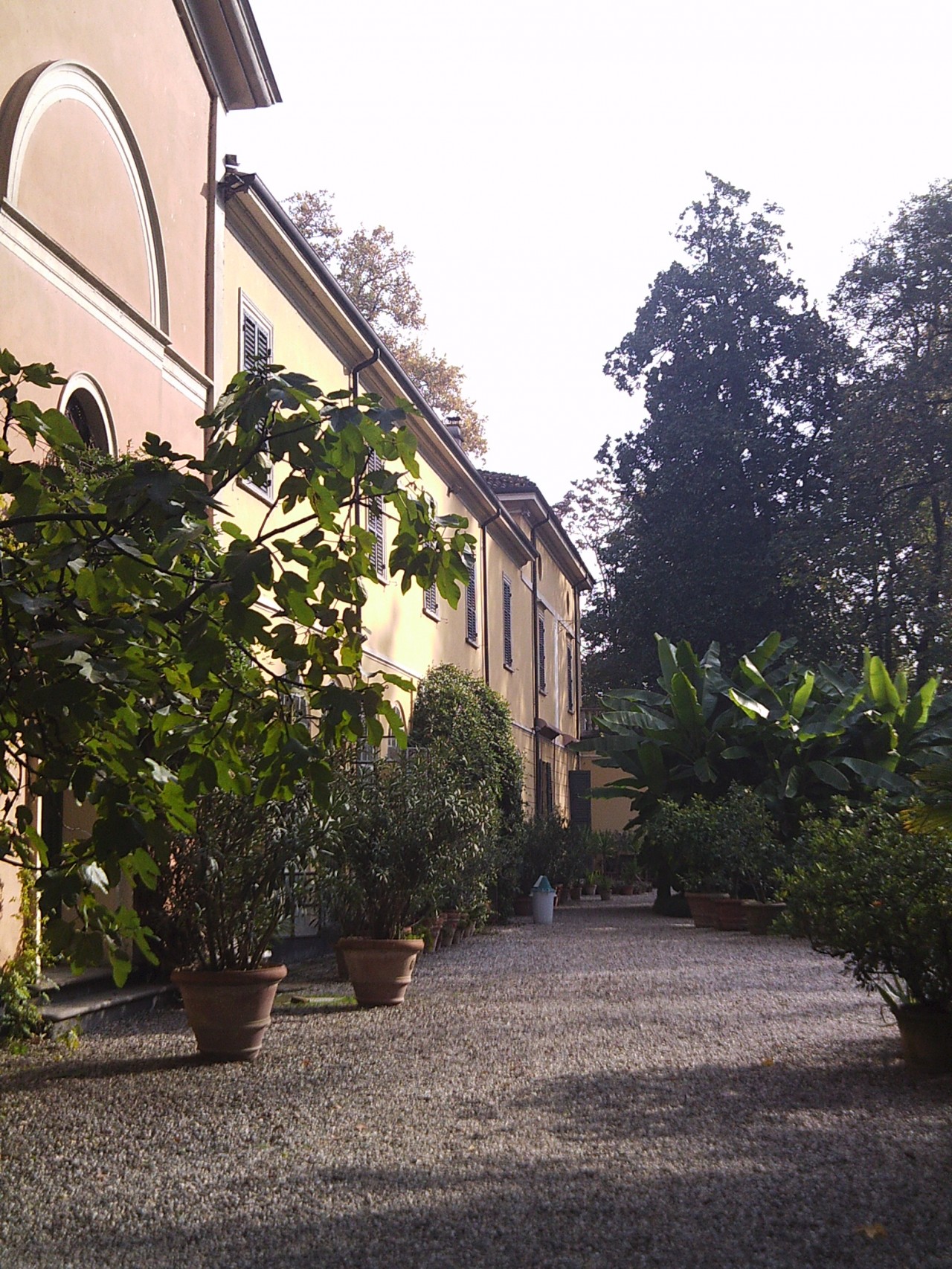 Silvia's Trips nel parmense