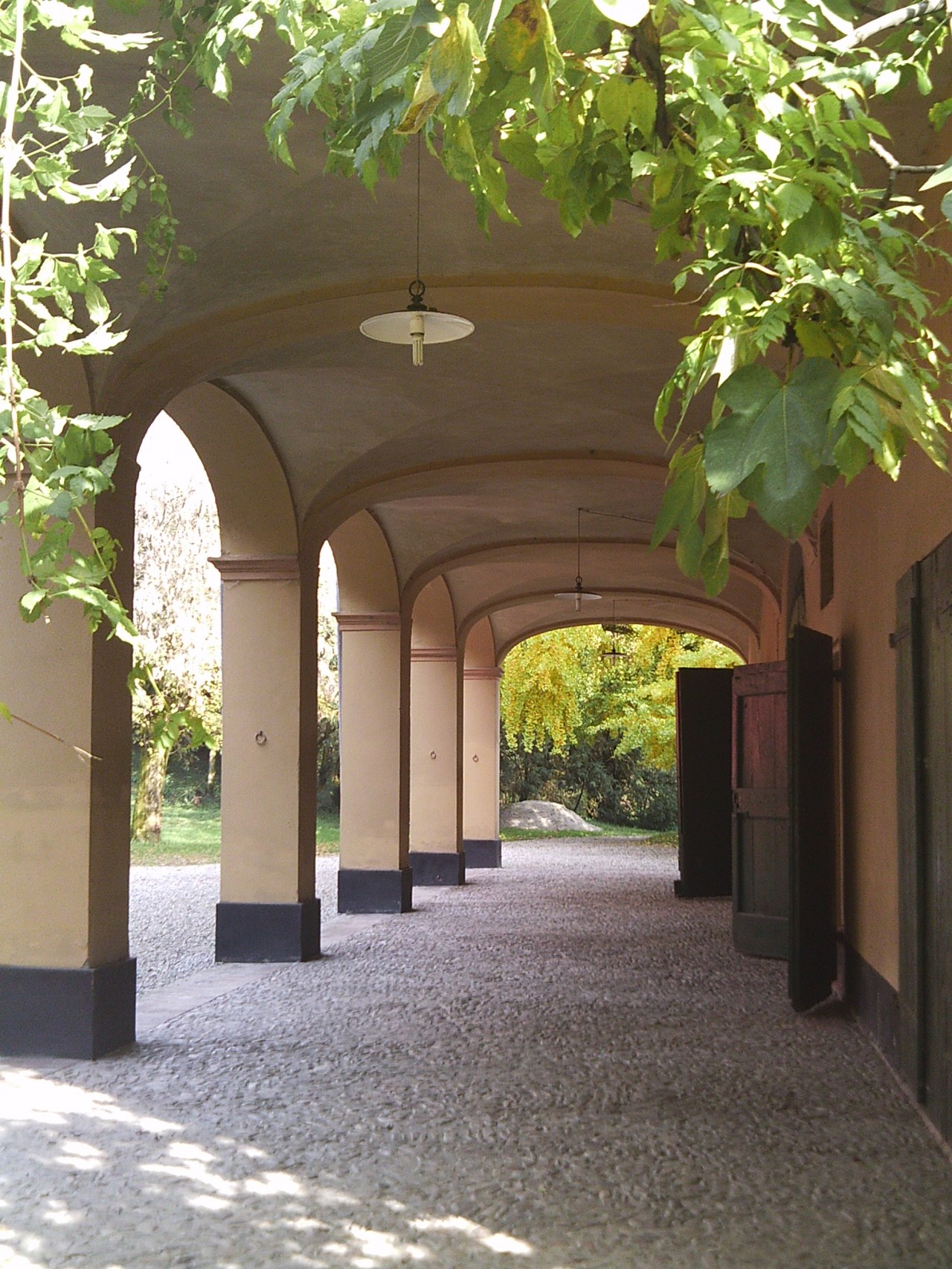 Silvia's Trips nel parmense