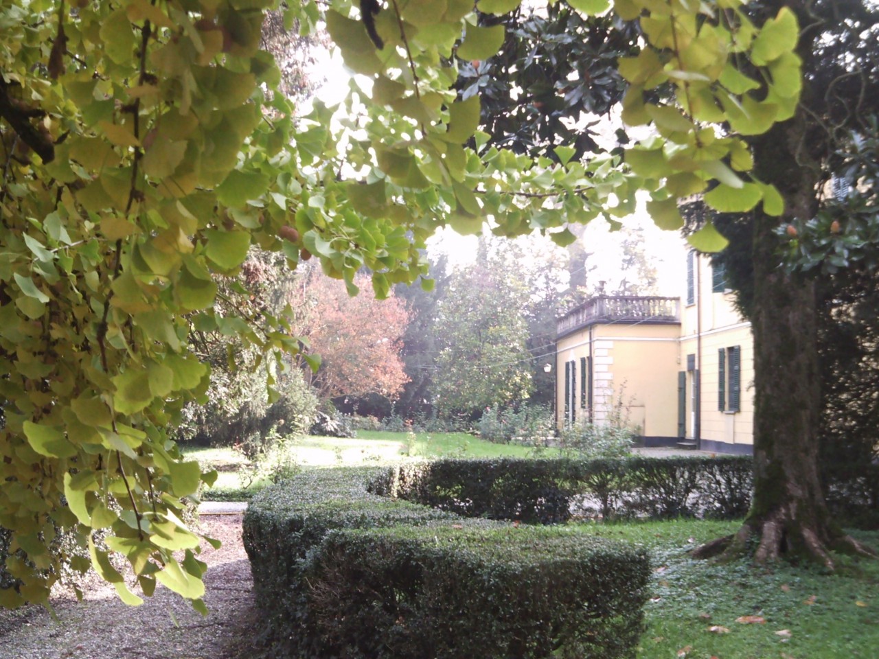 Silvia's Trips nel parmense