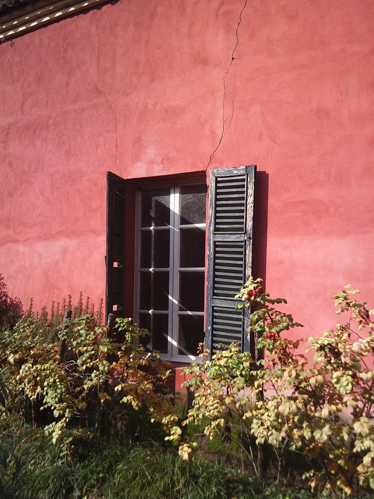 Silvia's Trips nel parmense