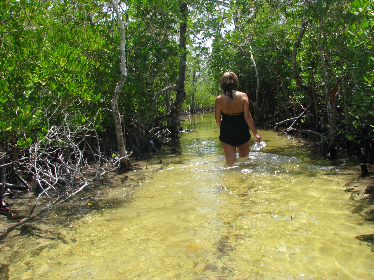 Silvia's Trips in Kenya