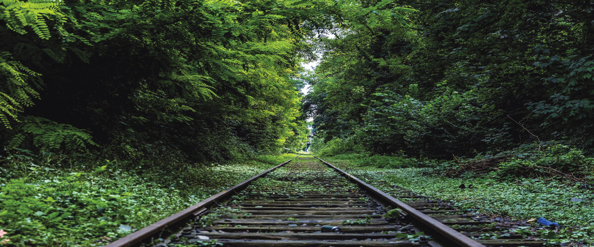 Railway in the forest in Sri Lanka