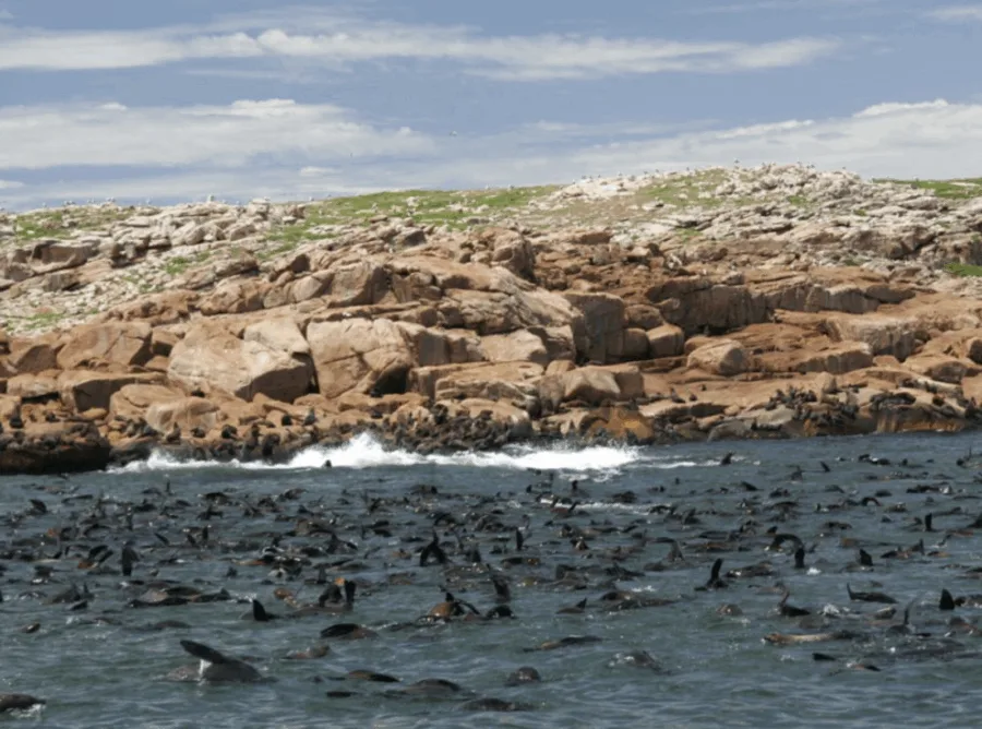 Punta del Este
