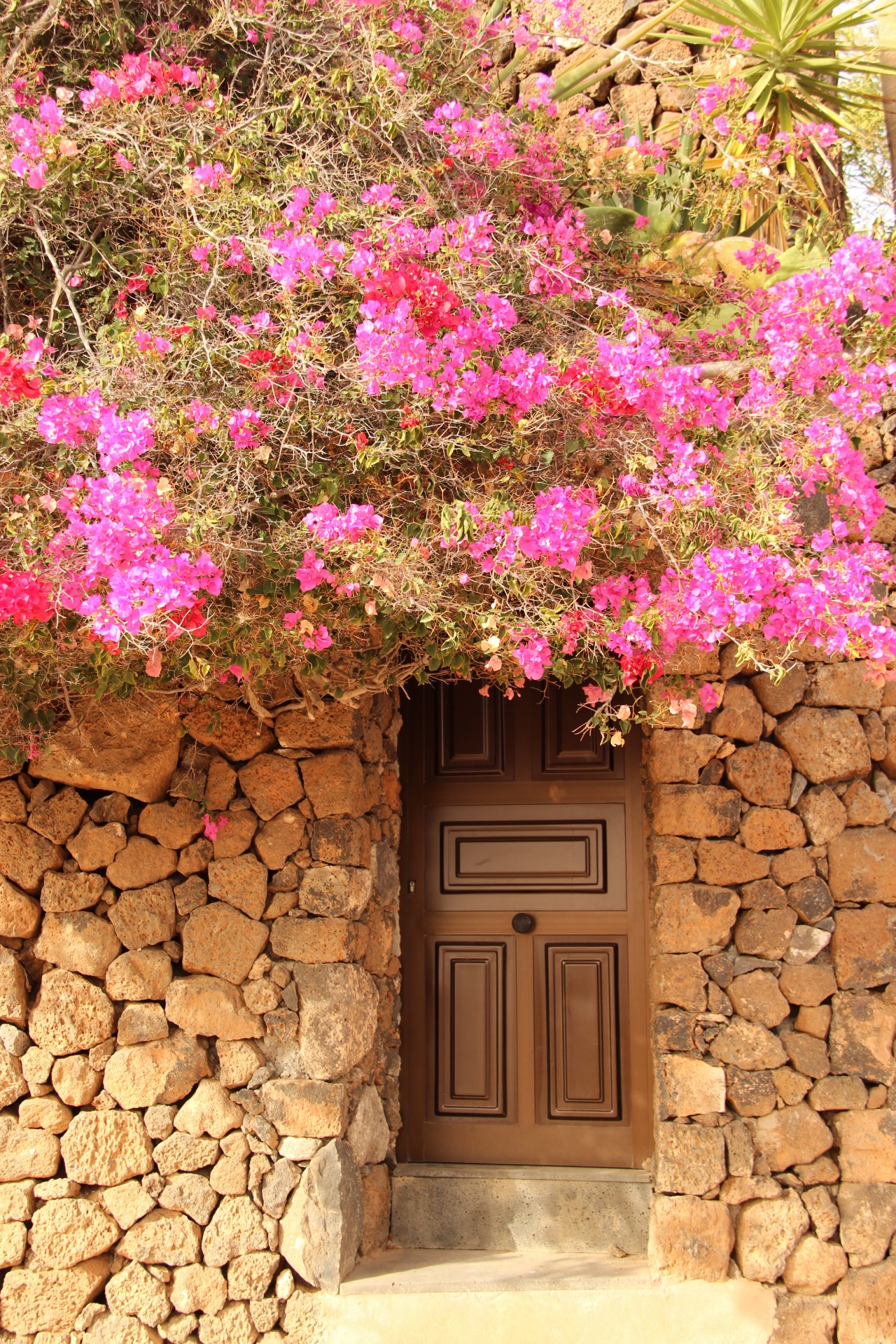 Lanzarote, un Eden di lava