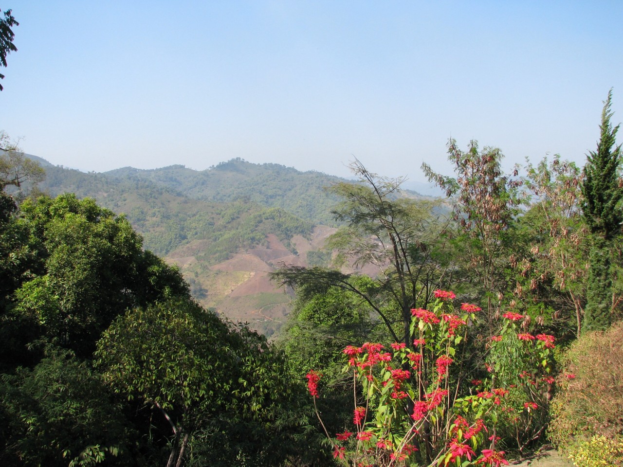Chiang Rai travel guide