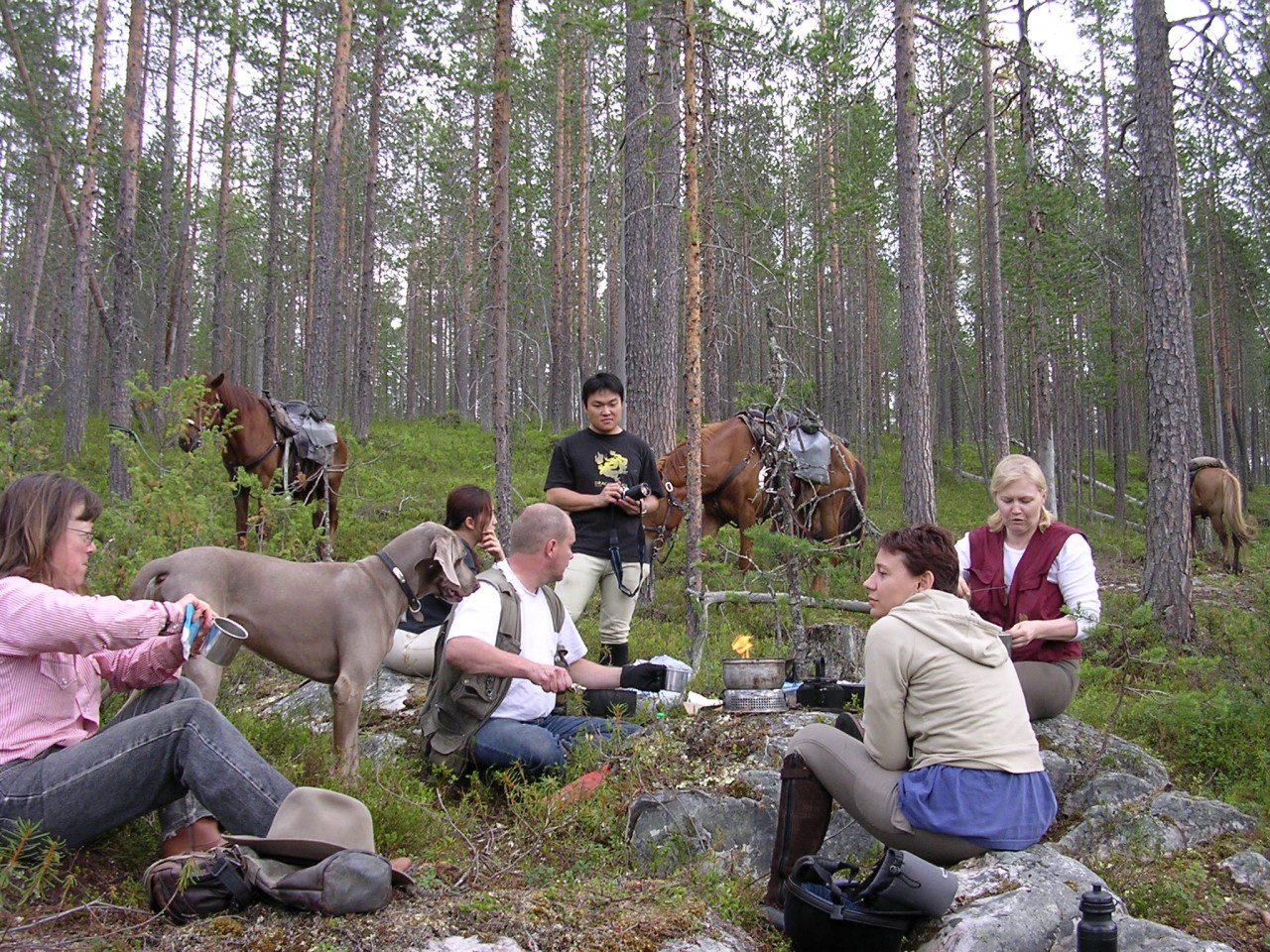 Riding through the forests of Finnish Lapland on the Bear Trail