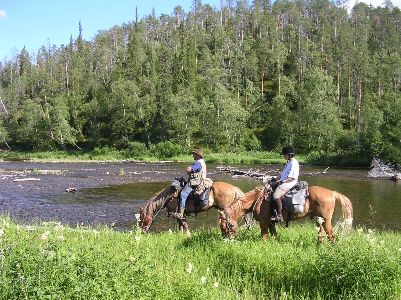 Riding through the forests of Finnish Lapland on the Bear Trail
