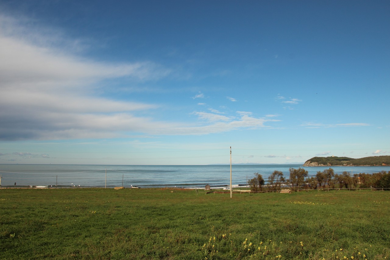 The coastline and maquis of the Baratti park
