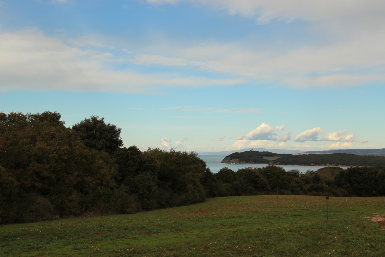 Trip in Val di Cornia, between Baratti and Populonia