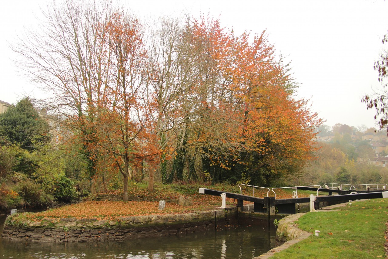 The River Avon and gardens in Bath