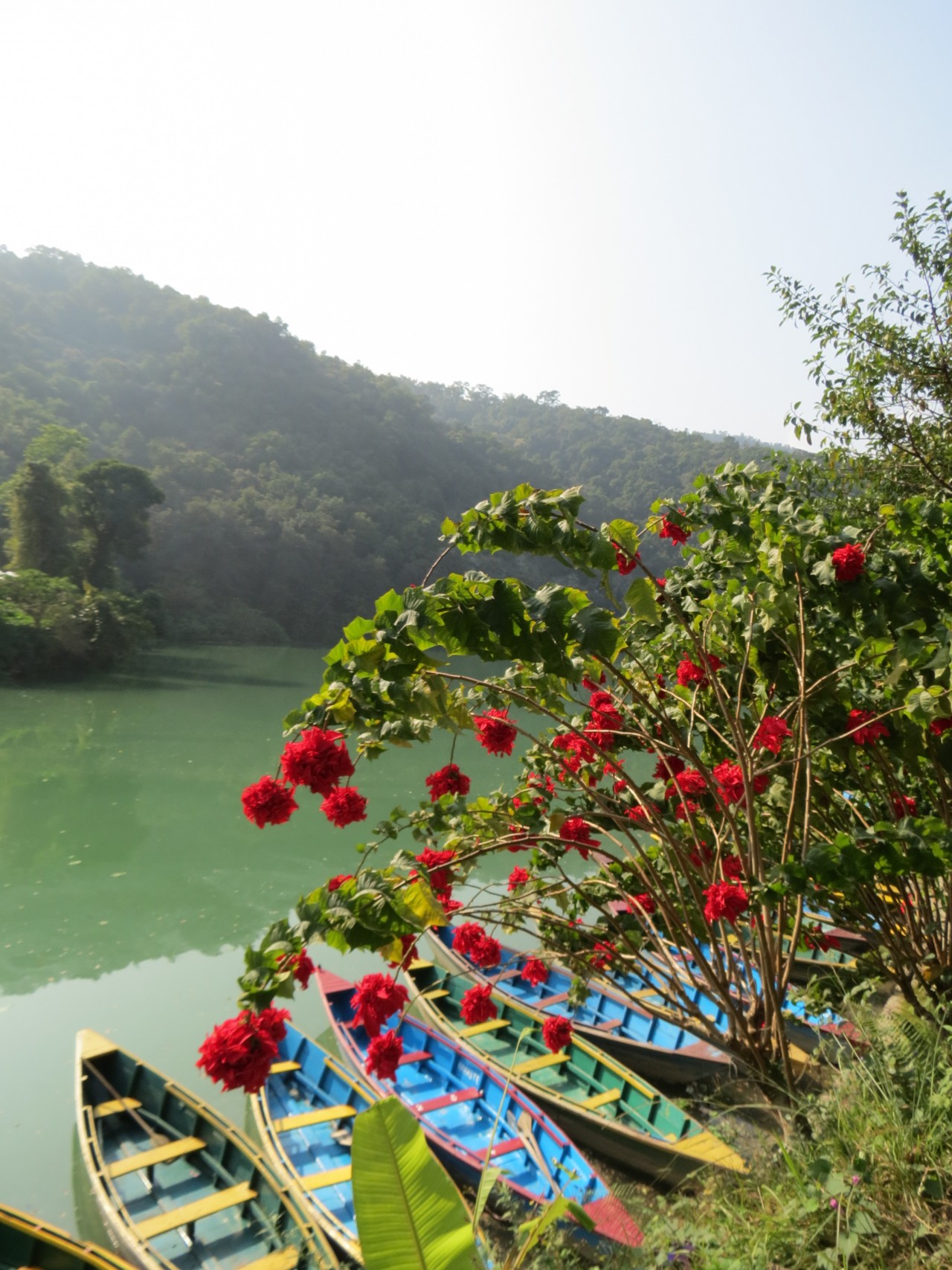 Una viaggiatrice in Nepal