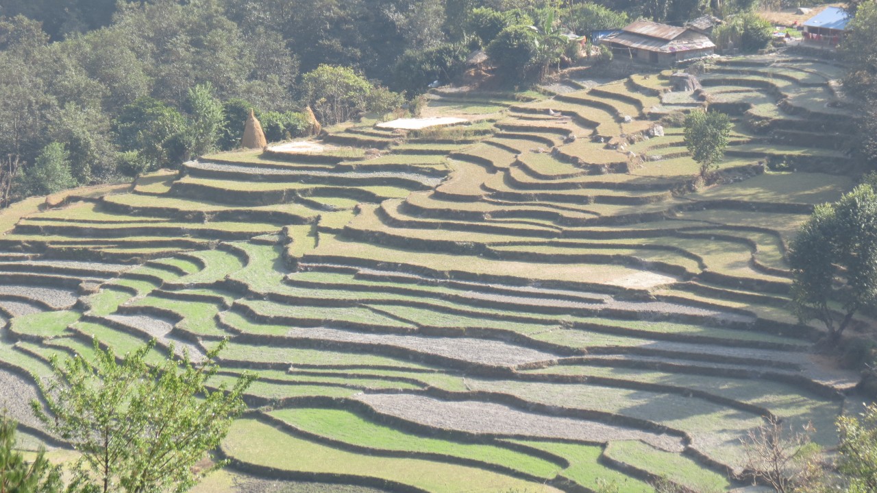 Una viaggiatrice in Nepal