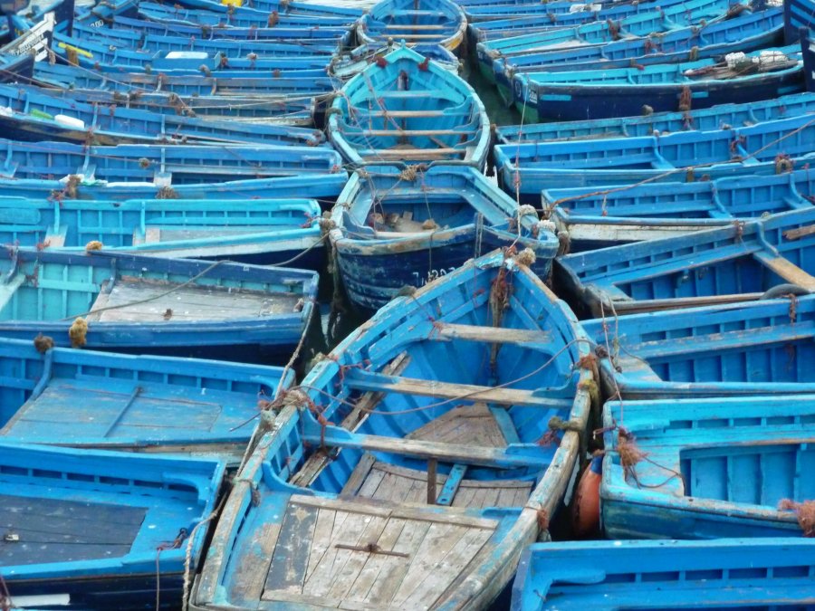 Essaouira, Silvia's Trips