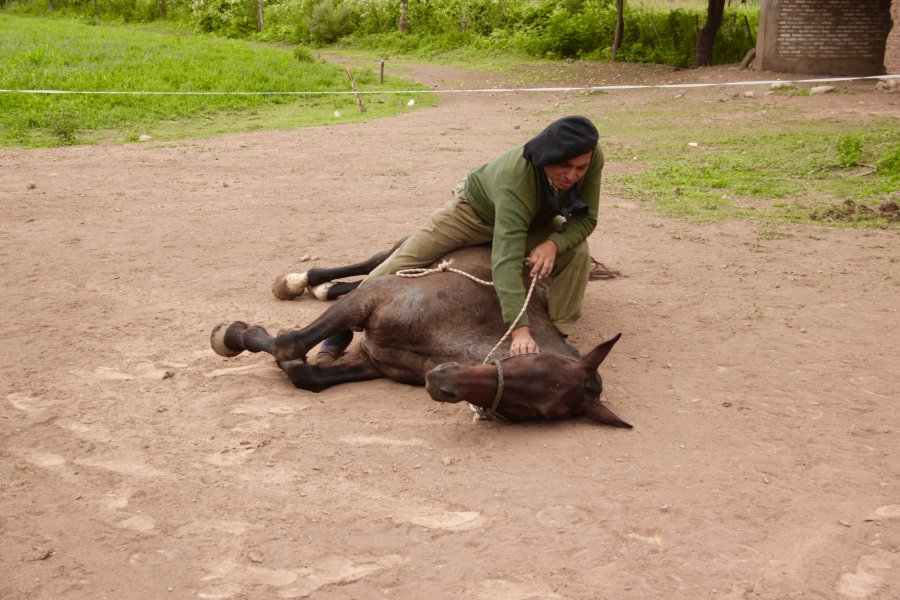 Riding with gauchos in northern Argentina