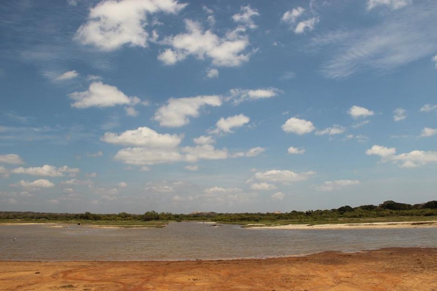 The Yala National Park, © Silvia's Trips