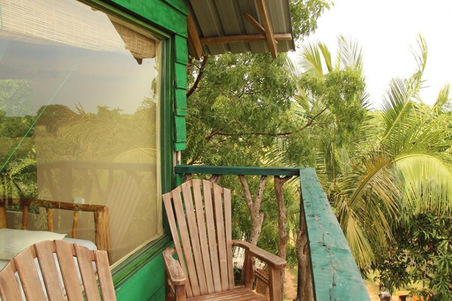 A treehouse overlooking the jungle near Yala