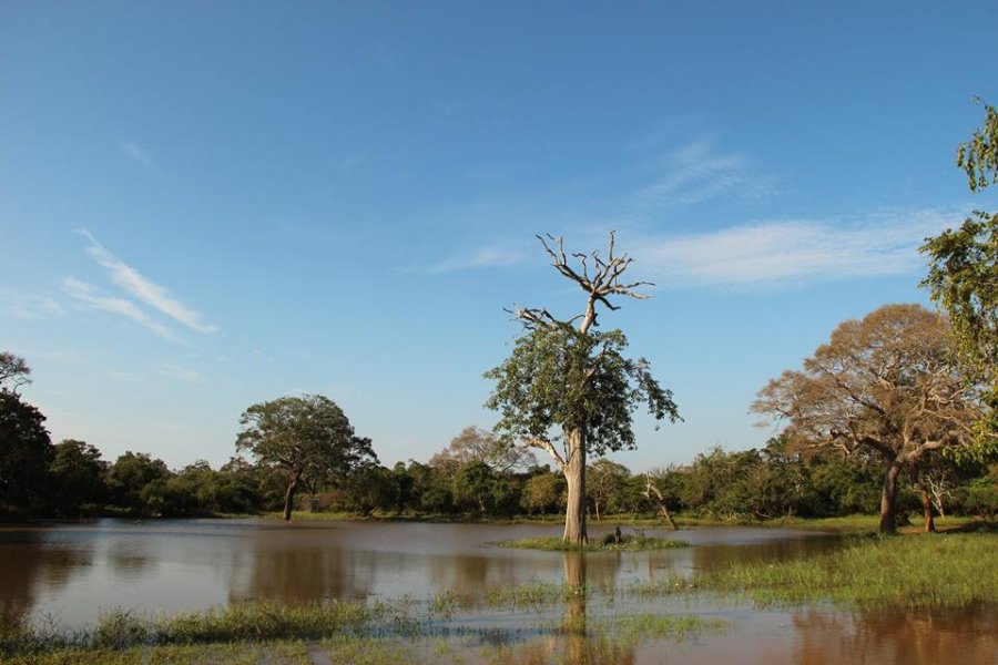 The Yala National Park, © Silvia's Trips