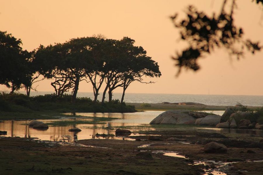 The Yala National Park, © Silvia's Trips