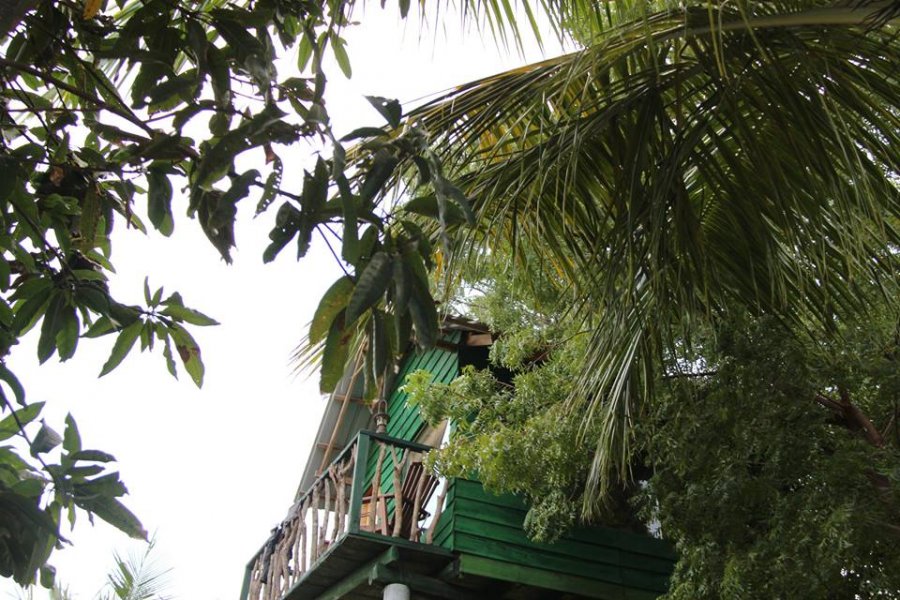 A treehouse overlooking the jungle near Yala