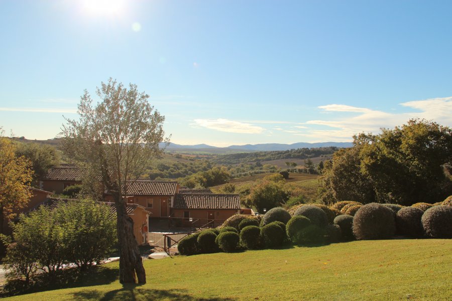 A Maremma landscape near Borgo Magliano