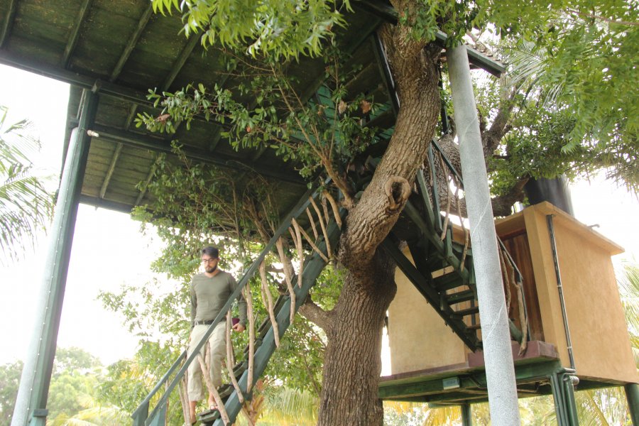 The Yala Tree House, © Silvia's Trips