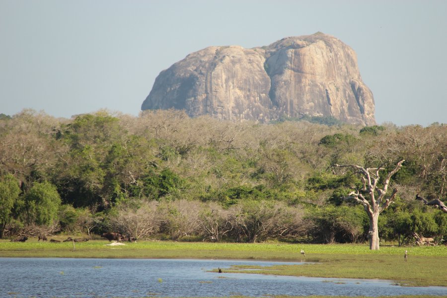 The Yala National Park, © Silvia's Trips