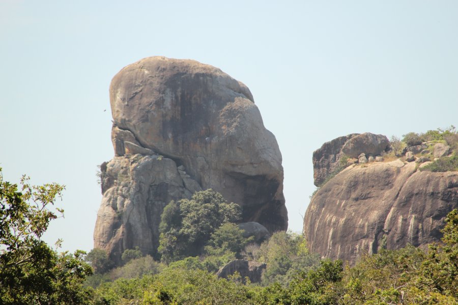 The Yala National Park, © Silvia's Trips