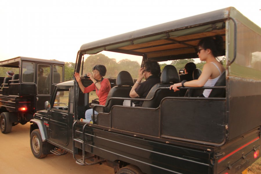 The Yala National Park, © Silvia's Trips