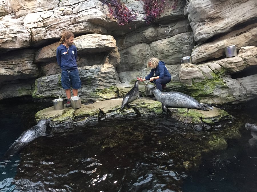 Behind the scenes among the tanks at the Genoa Aquarium