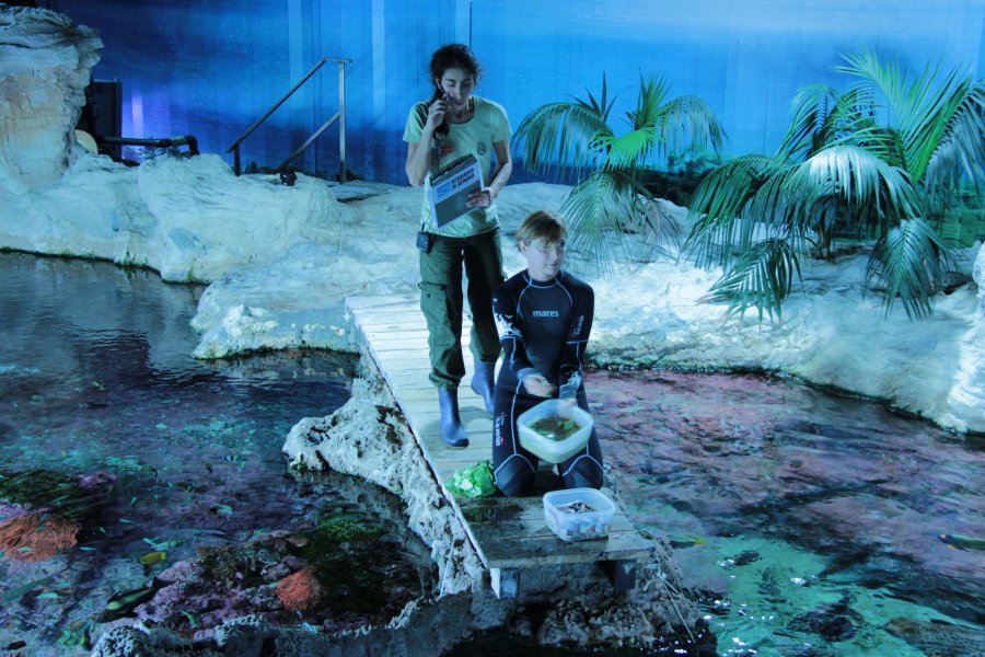 Viaggio dietro le quinte dell'acquario di Genova