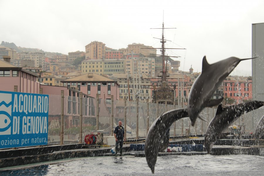 The Genoa Aquarium on the Porto Antico waterfront