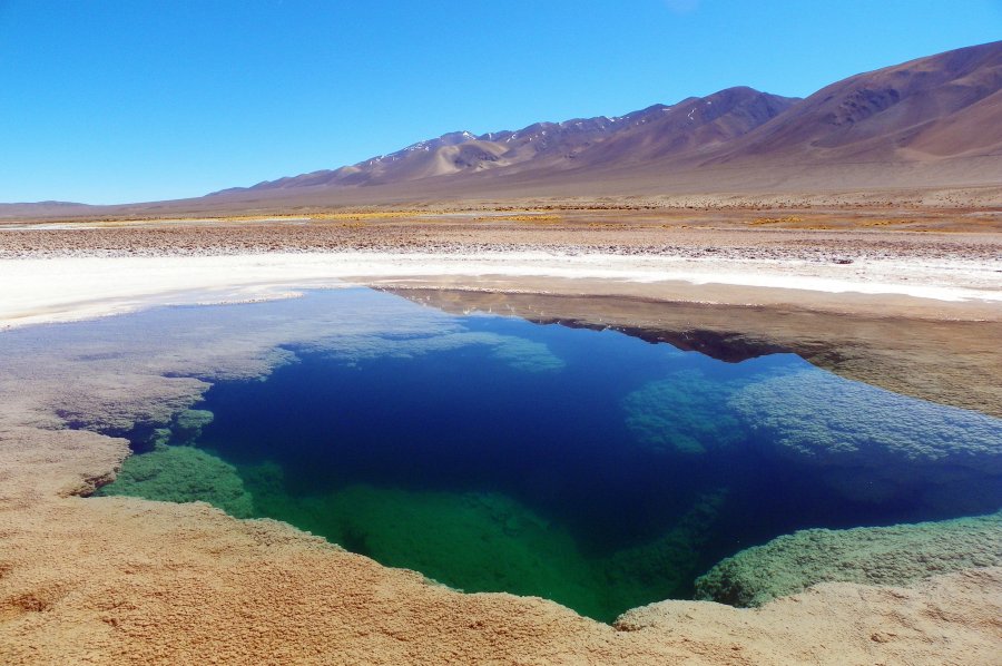 Guide di viaggio on the road: il nord-ovest dell'Argentina