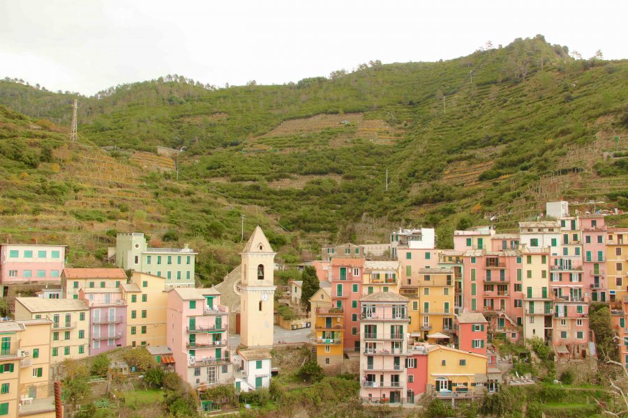 Manarola borgo