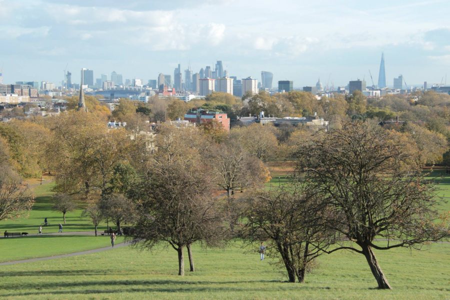 Primrose Hill