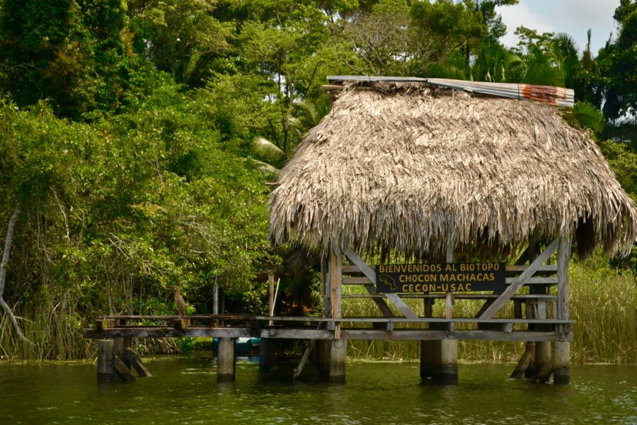 Izabal, il paradiso nascosto del Guatemala