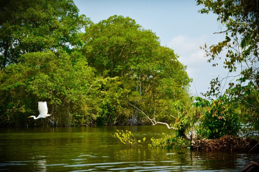 Izabal, il paradiso nascosto del Guatemala