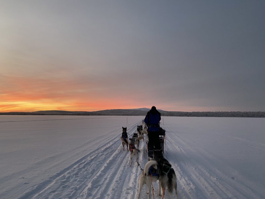 A husky safari in the Finnish Lapland wilderness