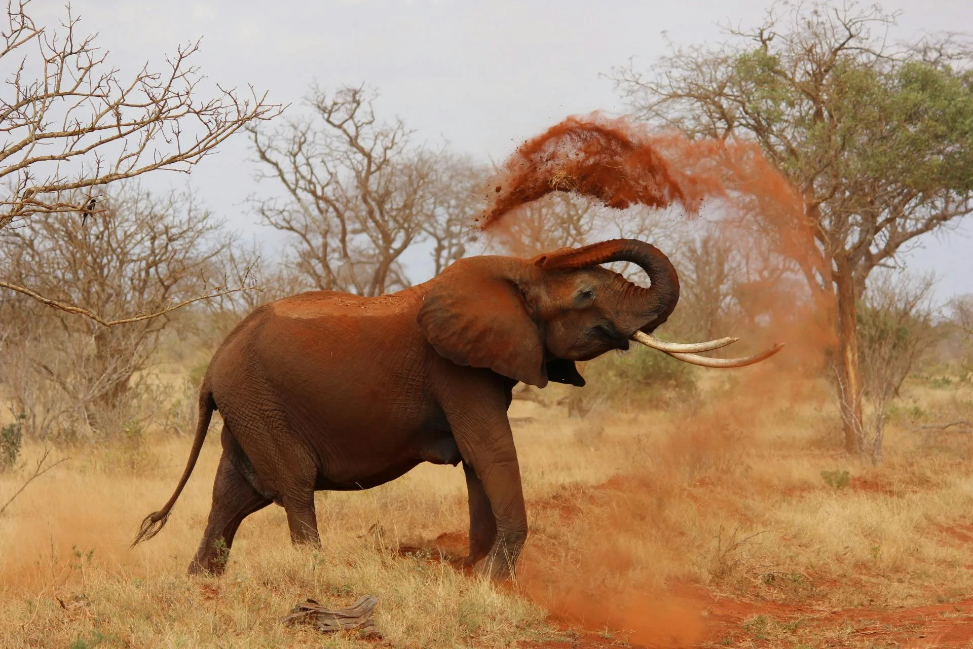 Best places to visit in Africa for college students