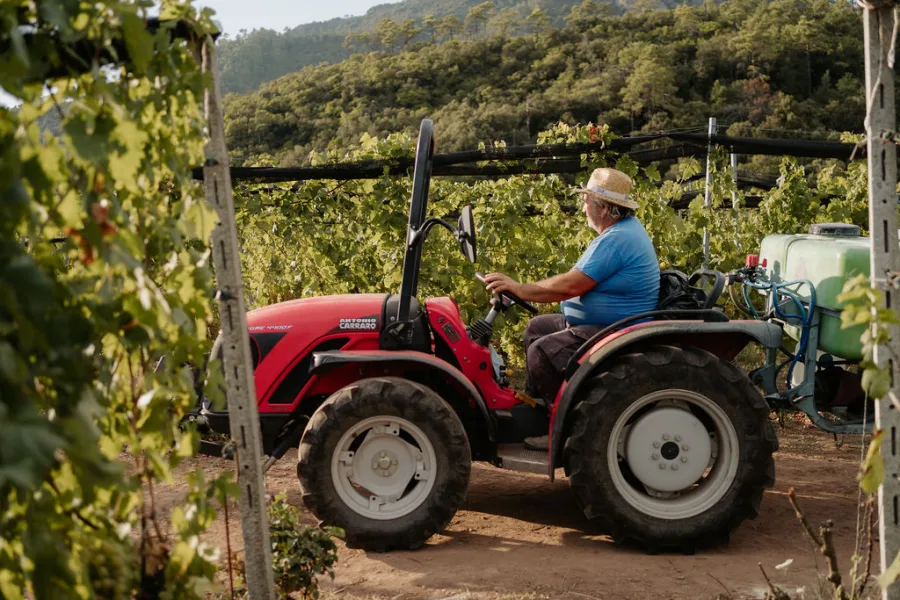 A wine experience at Cà du Ferrà