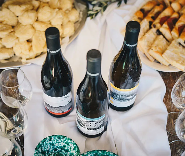 A wine experience at Cà du Ferrà