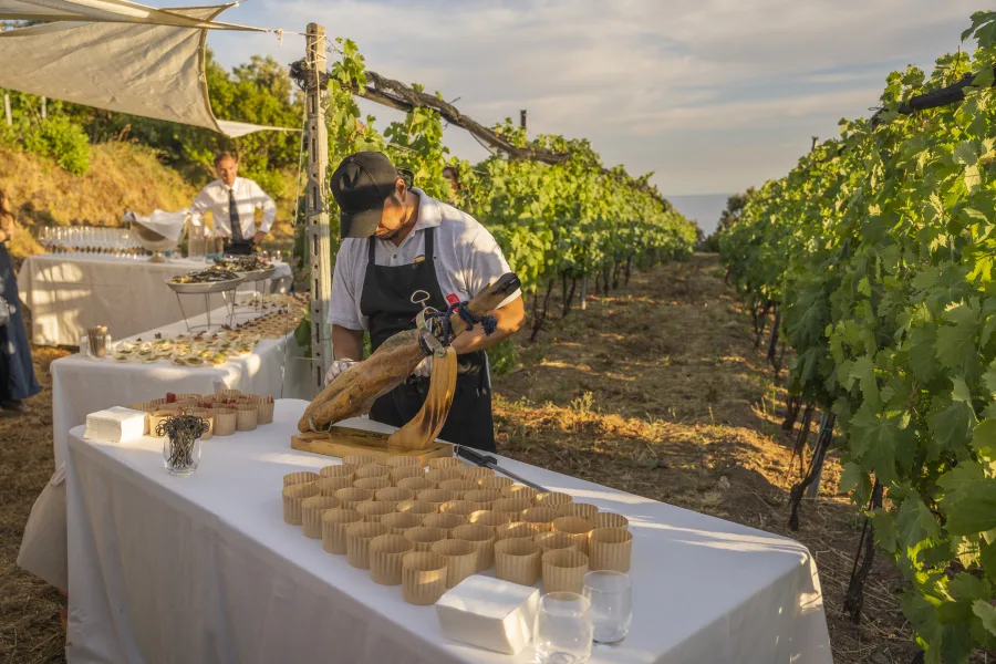 A wine experience at Cà du Ferrà