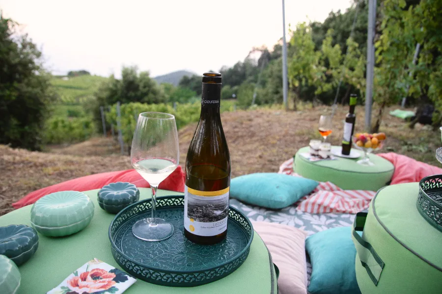 A wine experience at Cà du Ferrà