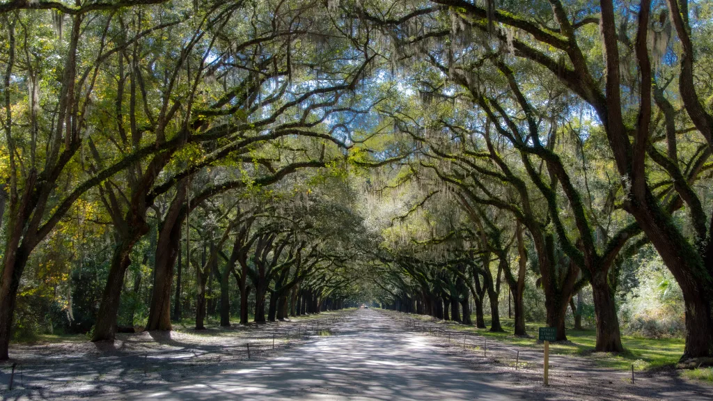 Most Romantic Spots in the U.S. For a Surprise Proposal