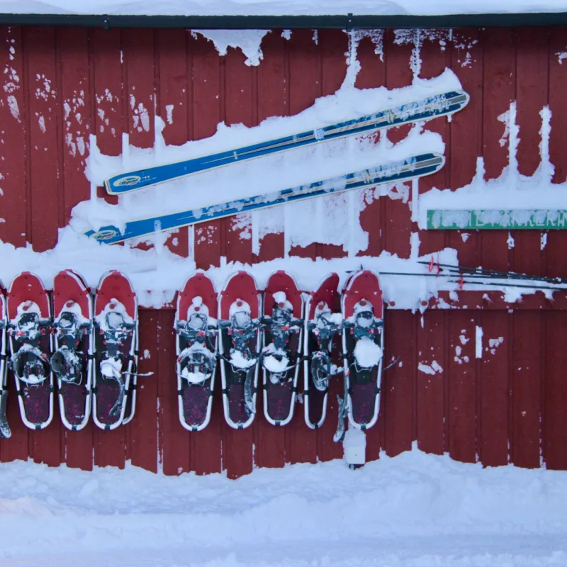Three Magical Days in Abisko