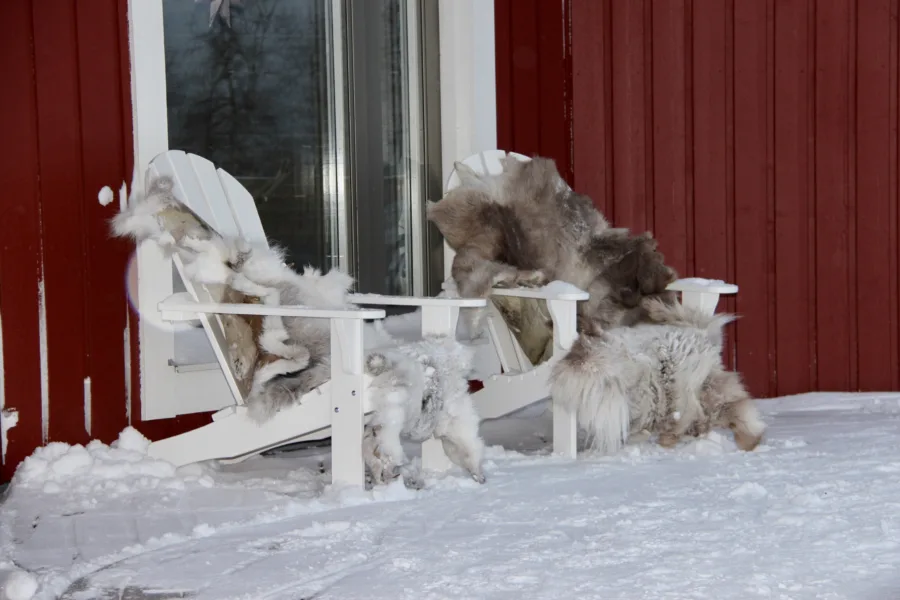 Three Magical Days in Abisko