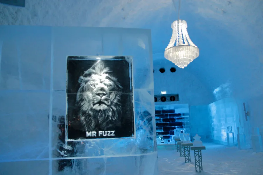 Three Magical Days in Abisko