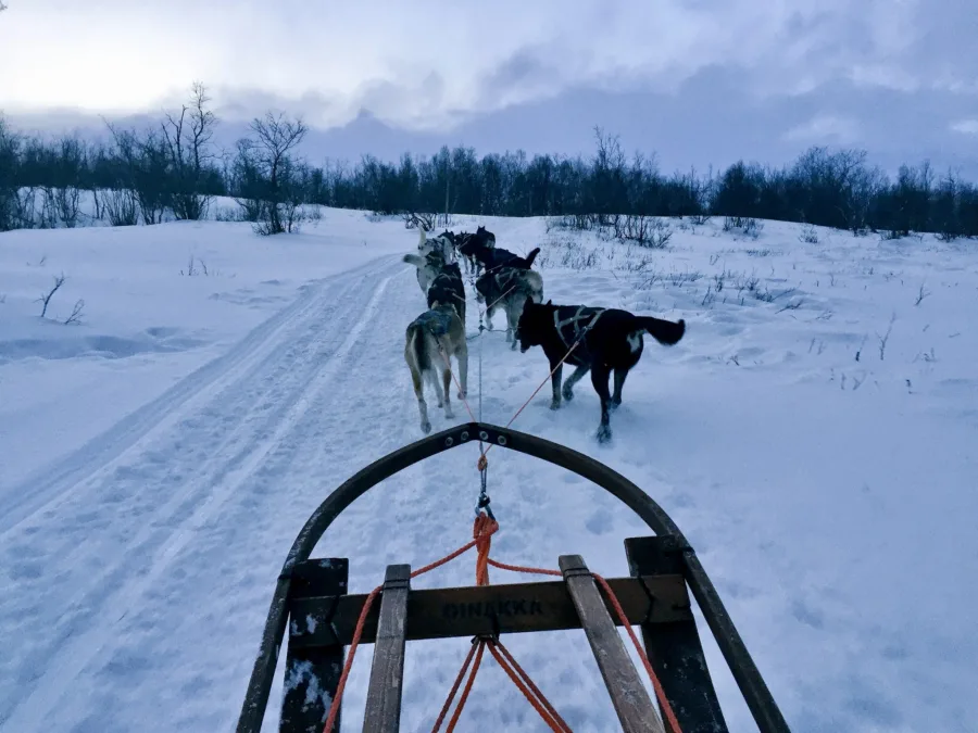 Three Magical Days in Abisko