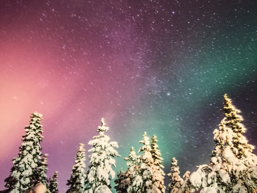 Three Magical Days in Abisko