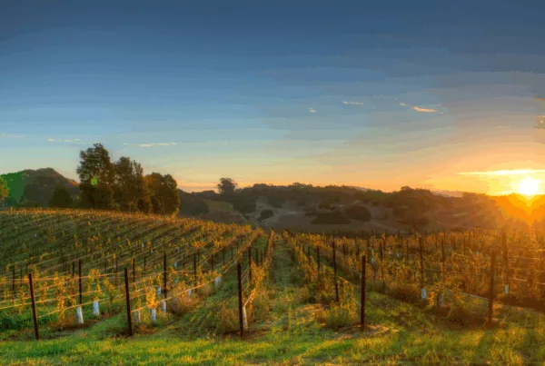 The Napa Valley Wine Train