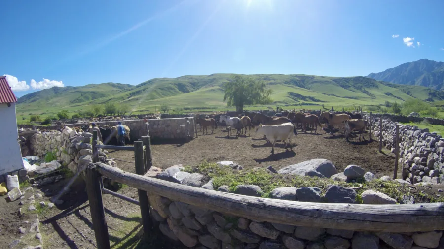 Tucumán and Tafí del Valle: Gateway to Northwest Argentina